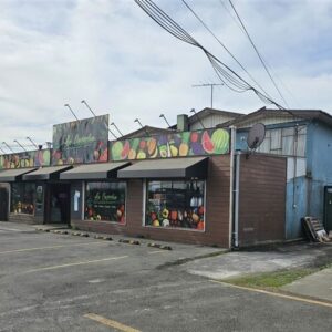 Local comercial y casa en San Pedro de la Paz,